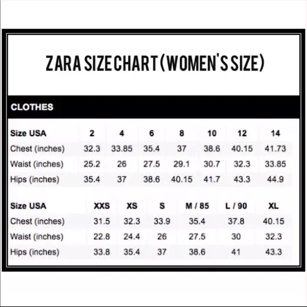 Zara Blogger Favorite Dress - Picture 9 of 9